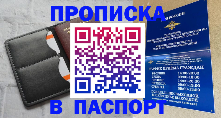 миграционный учет в Щёлково